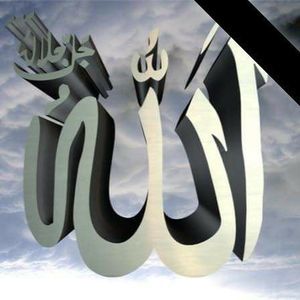 Meet your Posher, Nimal